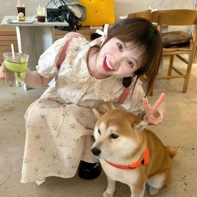 多么简单的故事